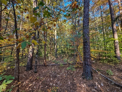 🎣 Your Kerr Lake Retreat Awaits in Holiday Shores in VA! - image 8