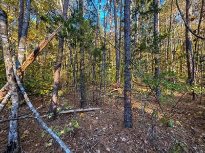 🎣 Your Kerr Lake Retreat Awaits in Holiday Shores in VA! - image 7