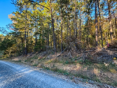 🎣 Your Kerr Lake Retreat Awaits in Holiday Shores in VA! - image 6
