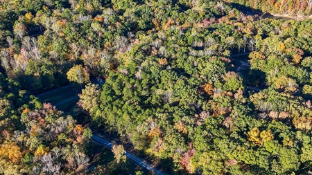 🎣 Your Kerr Lake Retreat Awaits in Holiday Shores in VA! - image 15