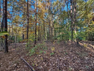 🎣 Your Kerr Lake Retreat Awaits in Holiday Shores in VA! - image 10
