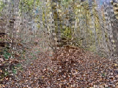 72.28 Acres for Sale in Unicoi County, Tennessee - image 27