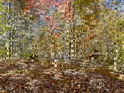 72.28 Acres for Sale in Unicoi County, Tennessee - image 37