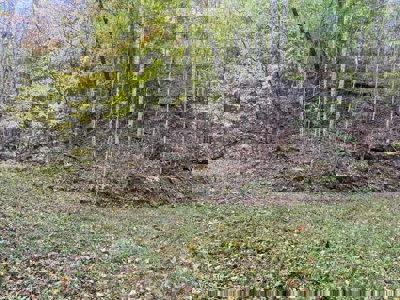 72.28 Acres for Sale in Unicoi County, Tennessee - image 29