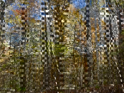 72.28 Acres for Sale in Unicoi County, Tennessee - image 24