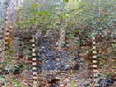 72.28 Acres for Sale in Unicoi County, Tennessee - image 48