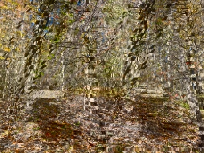 72.28 Acres for Sale in Unicoi County, Tennessee - image 15