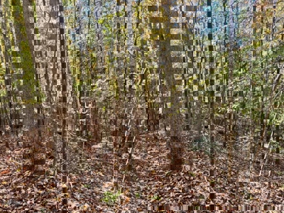 72.28 Acres for Sale in Unicoi County, Tennessee - image 25