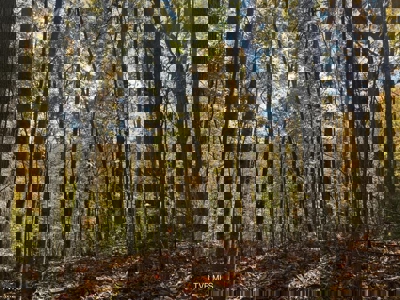 72.28 Acres for Sale in Unicoi County, Tennessee - image 18