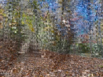 72.28 Acres for Sale in Unicoi County, Tennessee - image 21