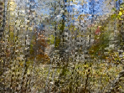 72.28 Acres for Sale in Unicoi County, Tennessee - image 16