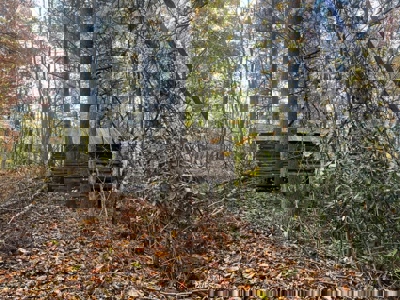 72.28 Acres for Sale in Unicoi County, Tennessee - image 39