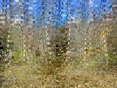 72.28 Acres for Sale in Unicoi County, Tennessee - image 12