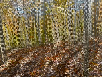 72.28 Acres for Sale in Unicoi County, Tennessee - image 26