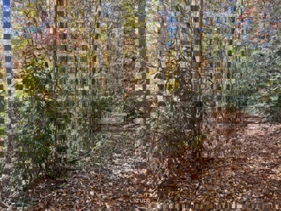 72.28 Acres for Sale in Unicoi County, Tennessee - image 13