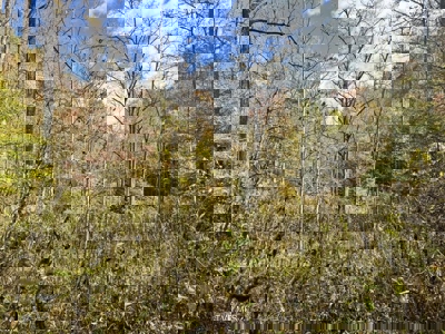 72.28 Acres for Sale in Unicoi County, Tennessee - image 8