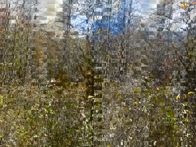 72.28 Acres for Sale in Unicoi County, Tennessee - image 17