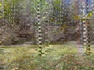 72.28 Acres for Sale in Unicoi County, Tennessee - image 30