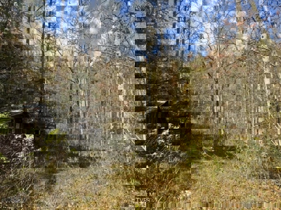 72.28 Acres for Sale in Unicoi County, Tennessee - image 31