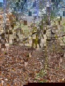 72.28 Acres for Sale in Unicoi County, Tennessee - image 11