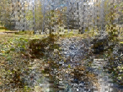 72.28 Acres for Sale in Unicoi County, Tennessee - image 1