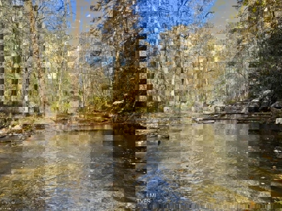 72.28 Acres for Sale in Unicoi County, Tennessee - image 42