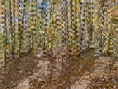 72.28 Acres for Sale in Unicoi County, Tennessee - image 41