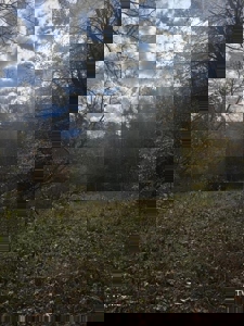 72.28 Acres for Sale in Unicoi County, Tennessee - image 2