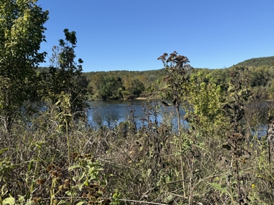 Riverfront Land For Sale In Arkansas - image 20