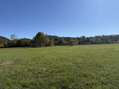 Riverfront Land For Sale In Arkansas - image 18