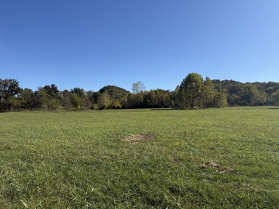 Riverfront Land For Sale In Arkansas - image 17