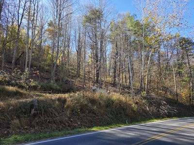 Wooded Lot for Sale in Montgomery County VA - image 4