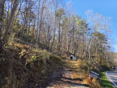 Wooded Lot for Sale in Montgomery County VA - image 2