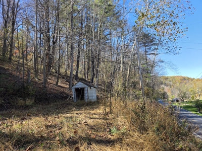 Wooded Lot for Sale in Montgomery County VA - image 7