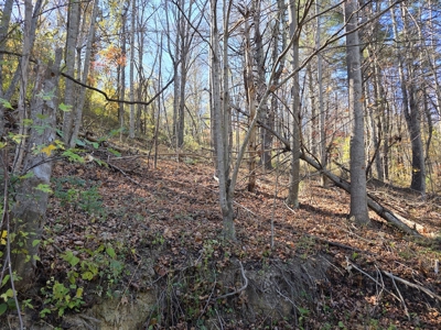 Wooded Lot for Sale in Montgomery County VA - image 1