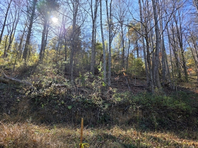 Wooded Lot for Sale in Montgomery County VA - image 5