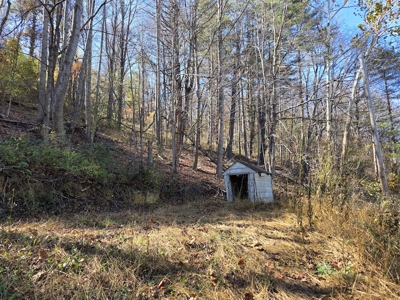 Wooded Lot for Sale in Montgomery County VA - image 6