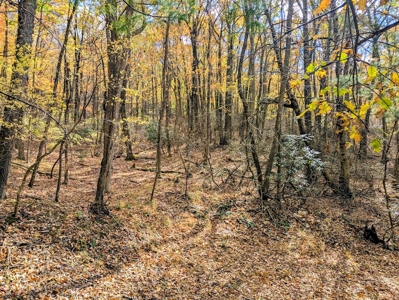 Stunning Home With View For Sale in Floyd VA - image 42