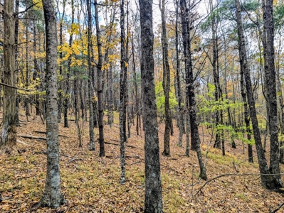 Stunning Home With View For Sale in Floyd VA - image 40