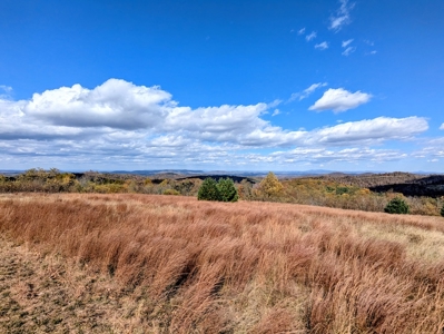 Stunning Home With View For Sale in Floyd VA - image 8