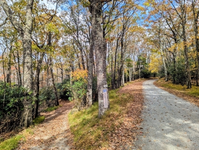 Stunning Home With View For Sale in Floyd VA - image 7