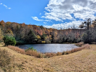 Stunning Home With View For Sale in Floyd VA - image 48
