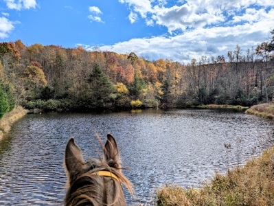 Stunning Home With View For Sale in Floyd VA - image 37