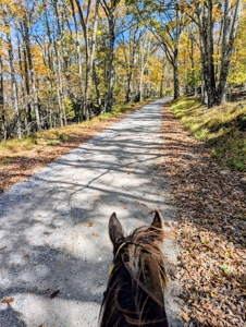 Stunning Home With View For Sale in Floyd VA - image 36
