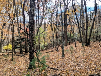 Stunning Home With View For Sale in Floyd VA - image 49