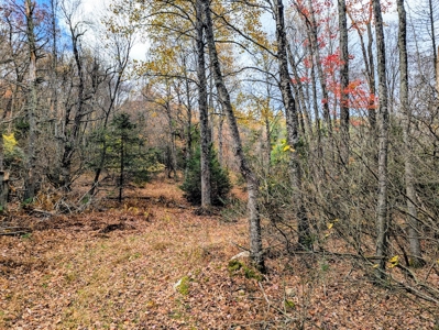 Stunning Home With View For Sale in Floyd VA - image 45