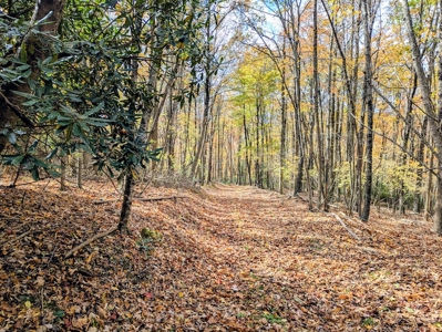 Stunning Home With View For Sale in Floyd VA - image 41