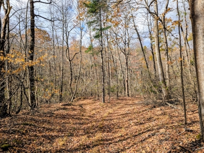 Stunning Home With View For Sale in Floyd VA - image 43