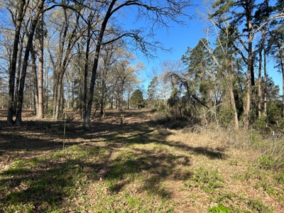 East Texas Hunting & Timber Acreage With Homesites - image 7