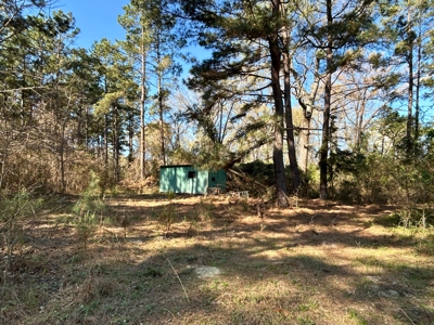 East Texas Hunting & Timber Acreage With Homesites - image 11